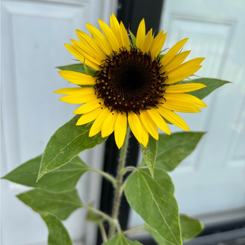 Welcome to my closet! Great bundling discount is offered!